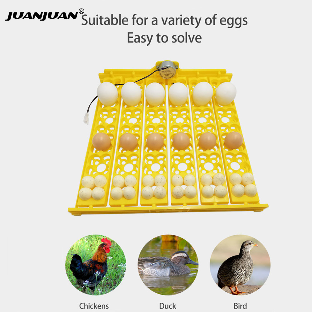 Poultry Incubator - 24 Eggs Tray Incubator Turner Automatically