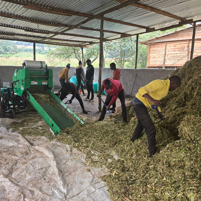 China Corn Silage Grass Harves - Silage Baler Machine avis et prix