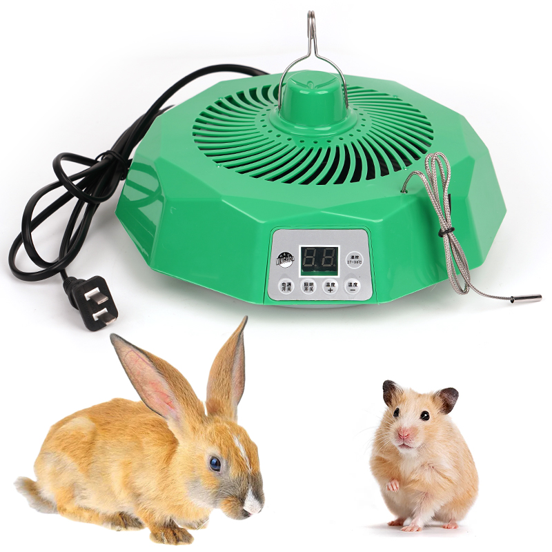 Pet Intelligent Heating Lamp F - Poultry Incubator avis et prix