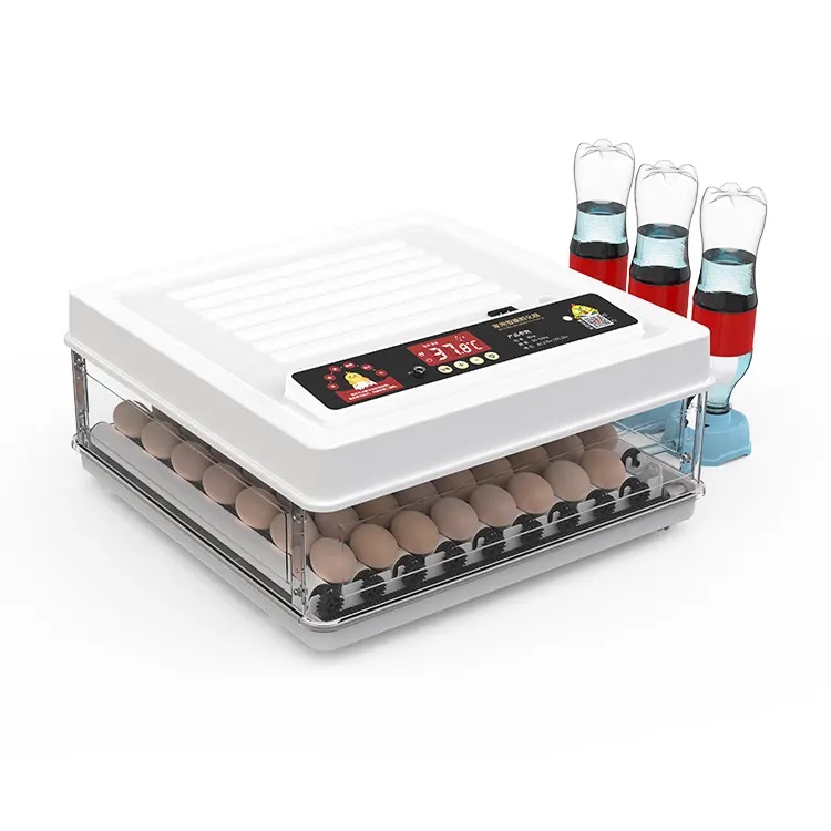 Fully Automatic 130 Capacity E - Poultry Incubator avis et prix