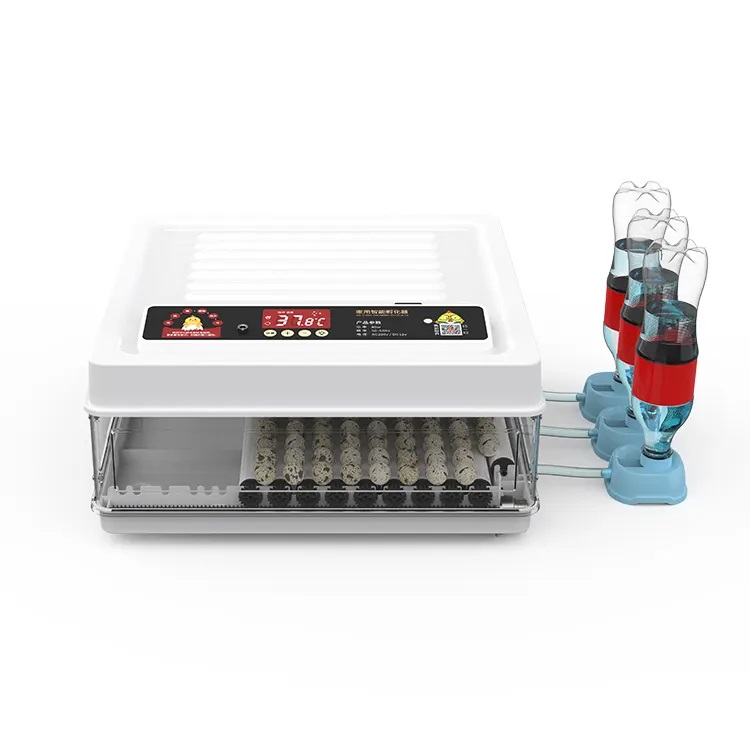 Fully Automatic 130 Capacity E - Poultry Incubator avis et prix