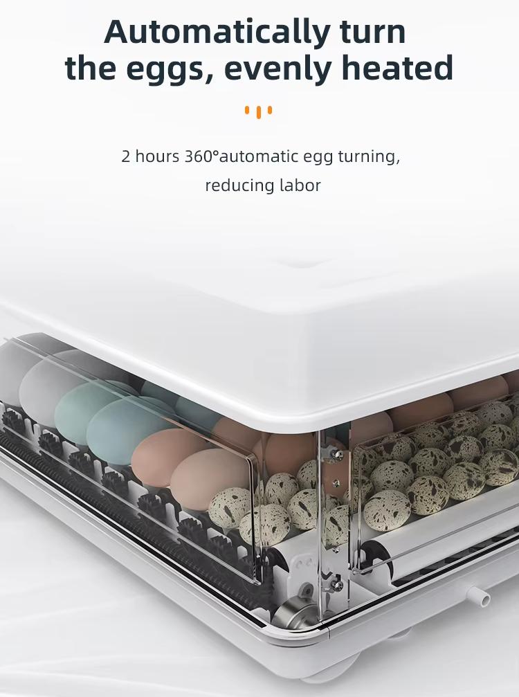 Fully Automatic 130 Capacity E - Poultry Incubator avis et prix