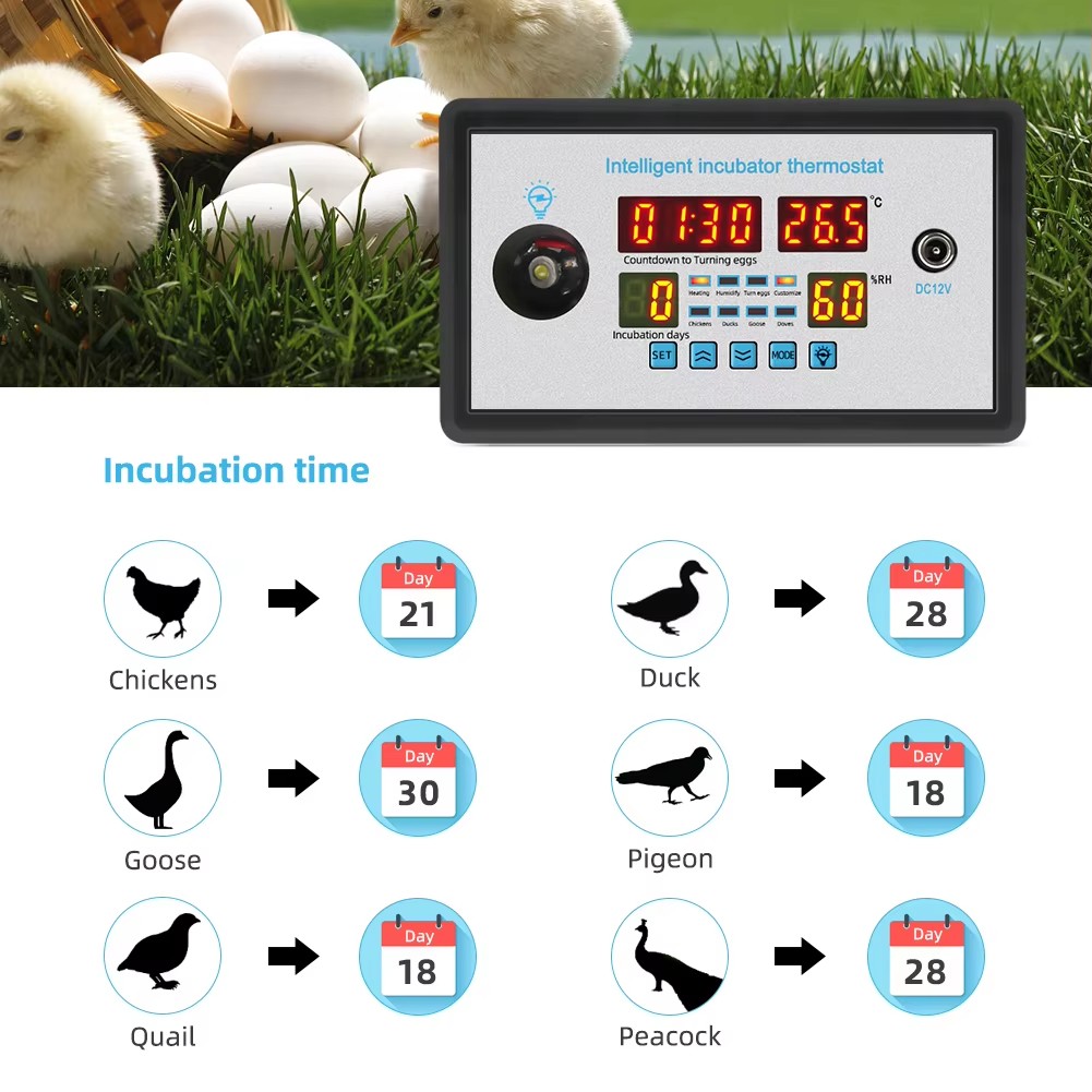 ZFX-W9002 12V/220V Egg Incubat - Poultry Incubator avis et prix