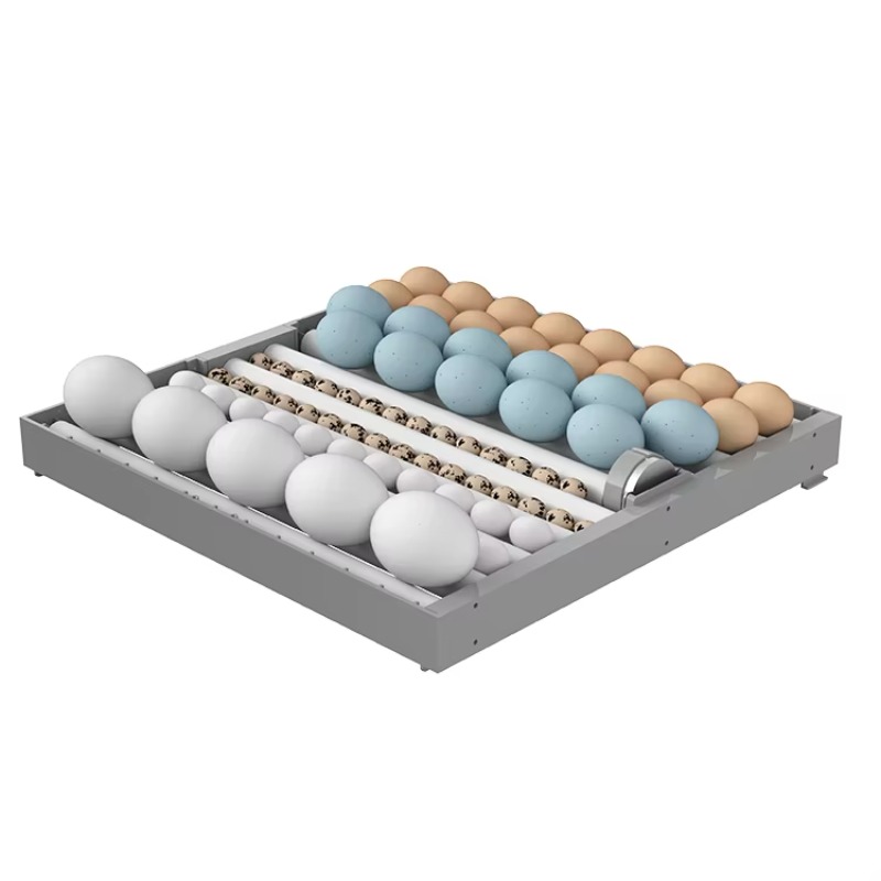 2026 7-Layer 448 Eggs Intellig - Poultry Incubator avis et prix
