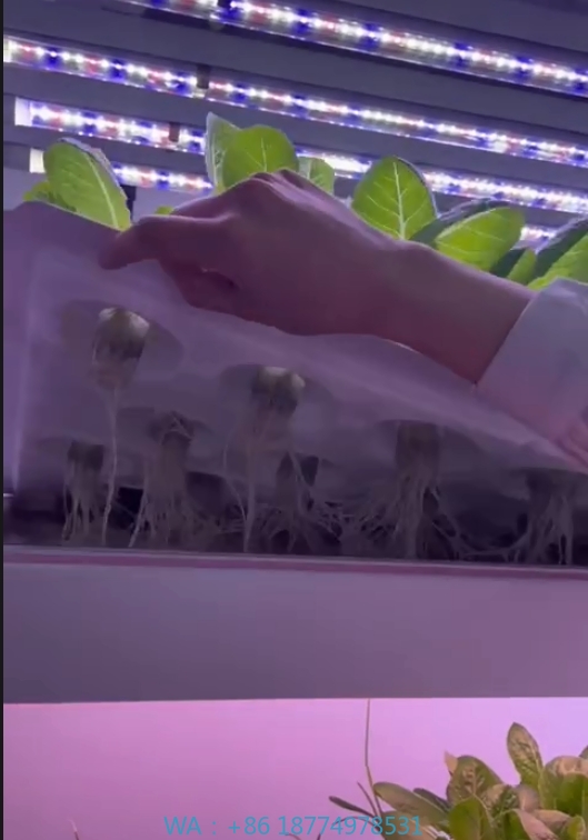 f Greenhouse Agricultural Equi - Agriculture Farming Systems avis et prix
