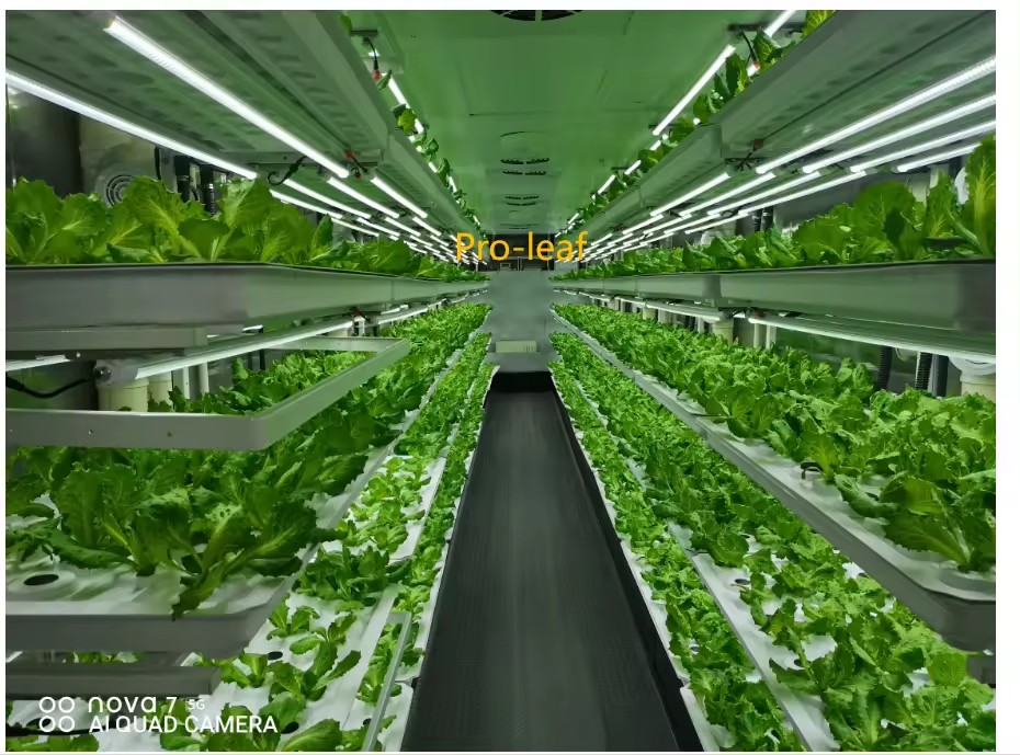 f Greenhouse Agricultural Equi - Agriculture Farming Systems avis et prix