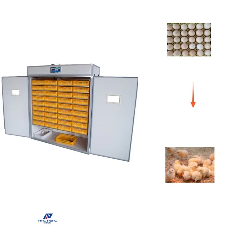 Poultry Egg Incubator Machine  - Poultry Incubator avis et prix
