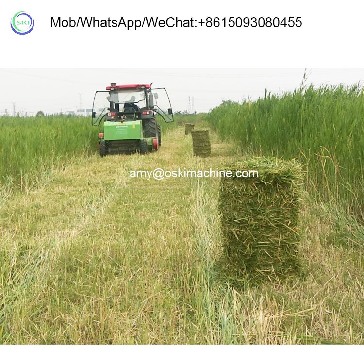 Automatic Silage Packing Bundl - Silage Baler Machine avis et prix