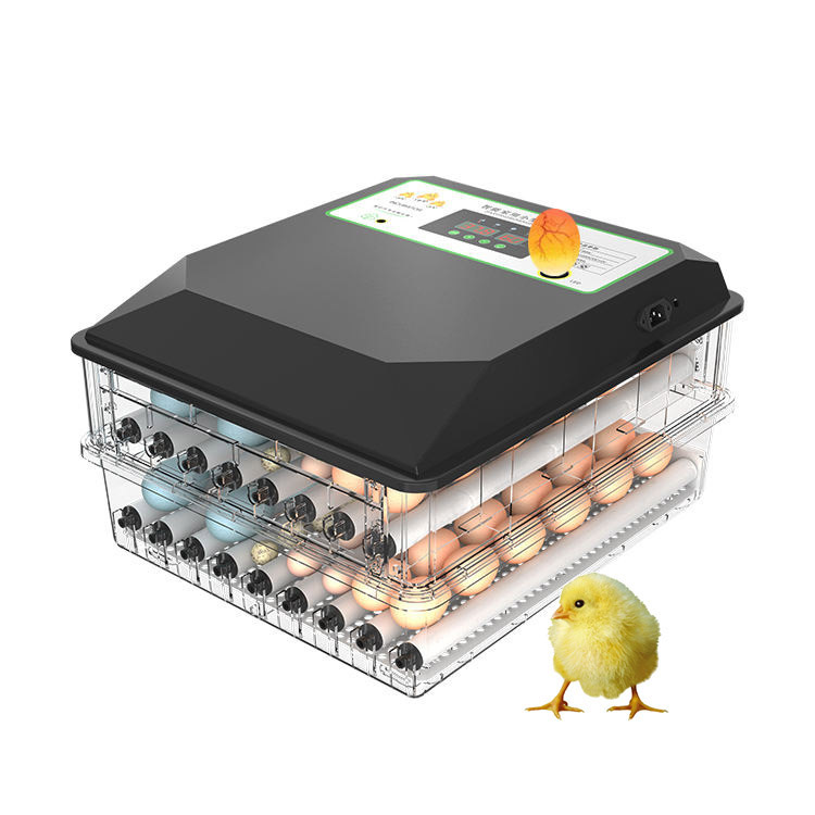 Widely Used Automatic Poultry  - Poultry Incubator avis et prix
