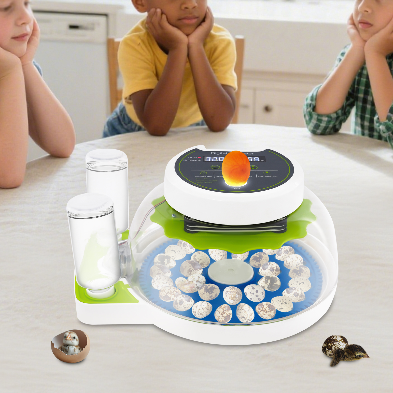 50W 12.2*9.84*6.1in Quail Egg  - Poultry Incubator avis et prix