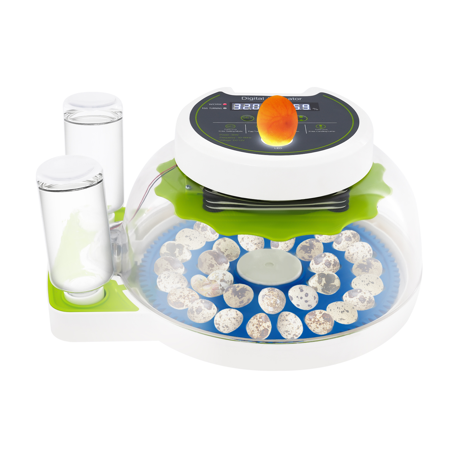 50W 12.2*9.84*6.1in Quail Egg  - Poultry Incubator avis et prix
