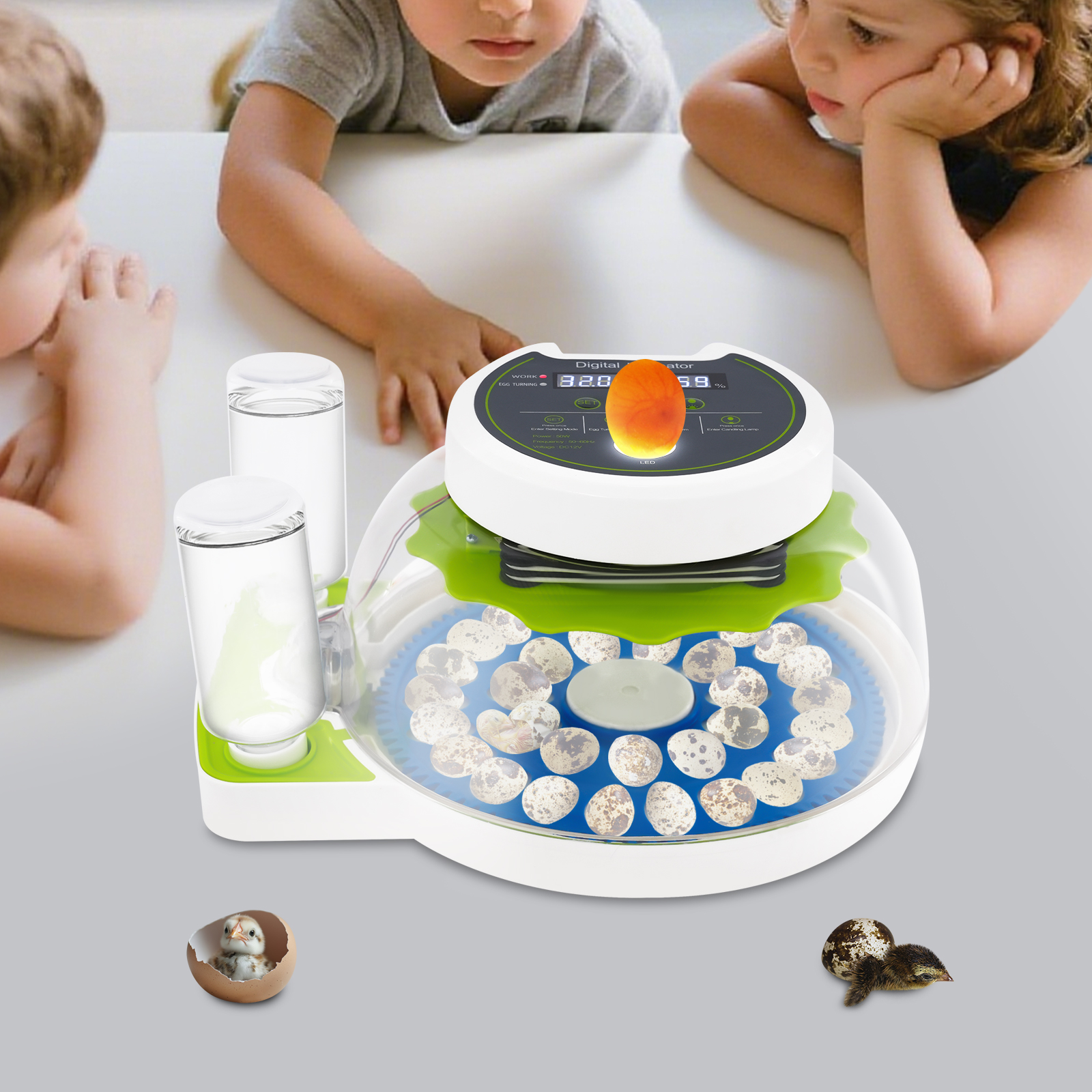 50W 12.2*9.84*6.1in Quail Egg  - Poultry Incubator avis et prix