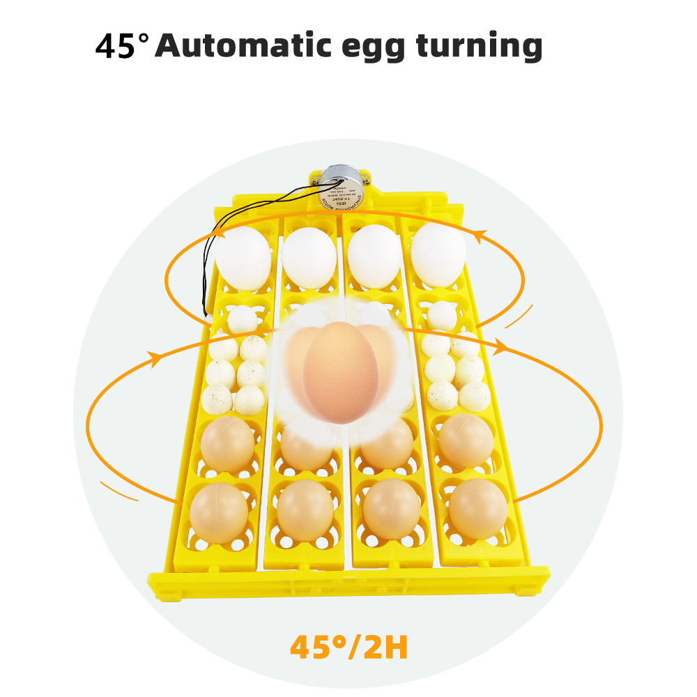 24pcs Eggs Incubator Tray Auto - Poultry Incubator avis et prix