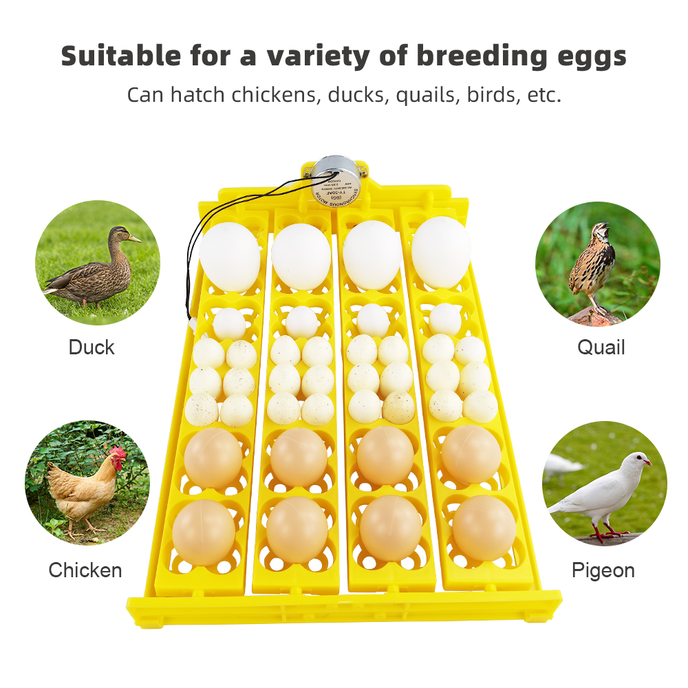 24pcs Eggs Incubator Tray Auto - Poultry Incubator avis et prix