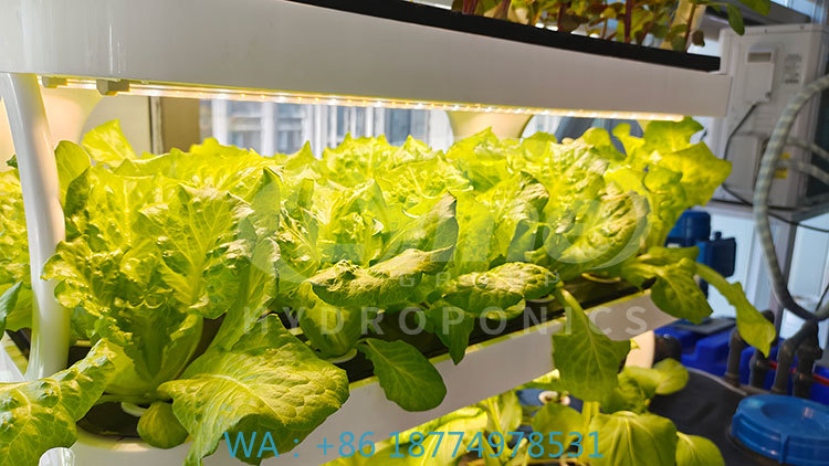 c Agriculture Machine to Growi - Agriculture Farming Systems avis et prix