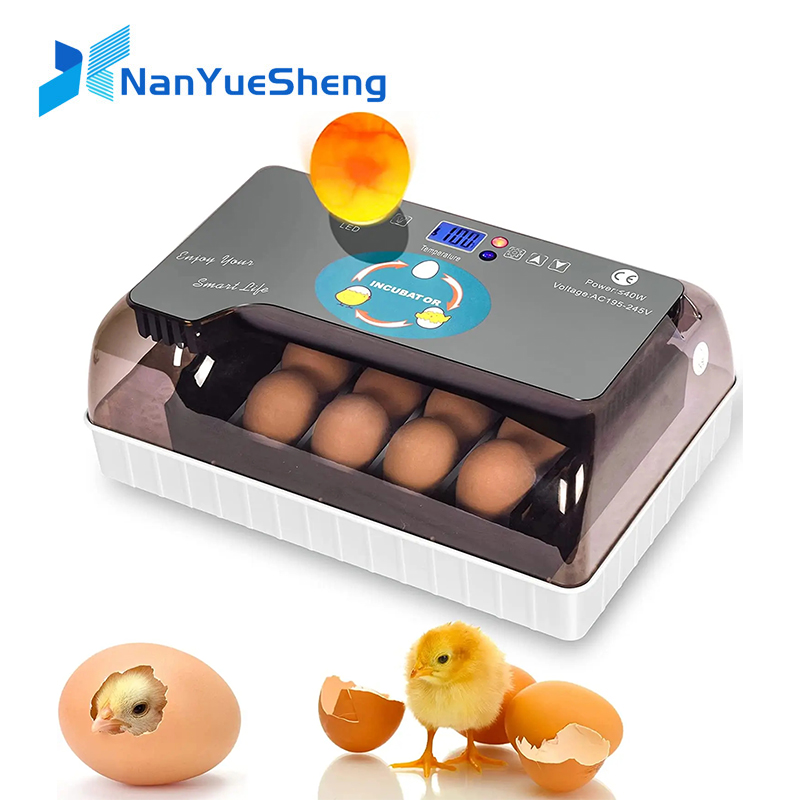 Automatic HHD Best Digital 12  - Poultry Incubator avis et prix