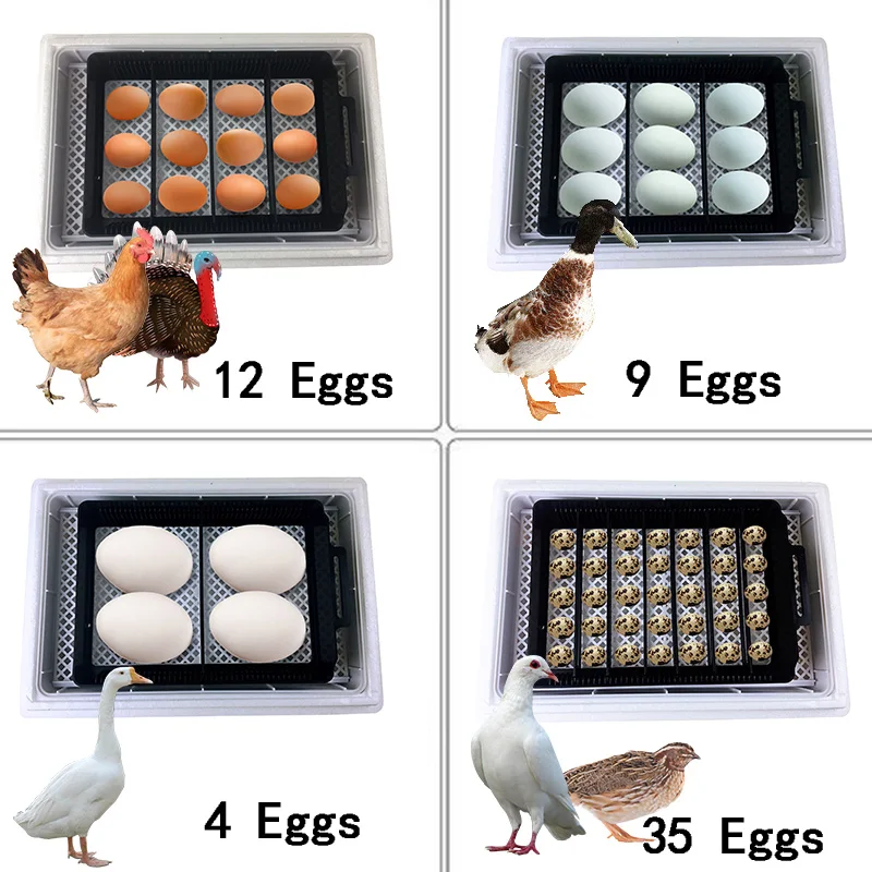Automatic HHD Best Digital 12  - Poultry Incubator avis et prix