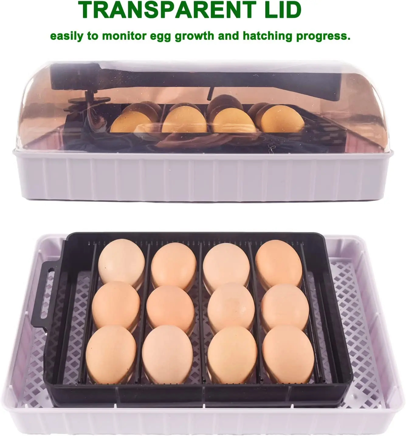 Automatic HHD Best Digital 12  - Poultry Incubator avis et prix