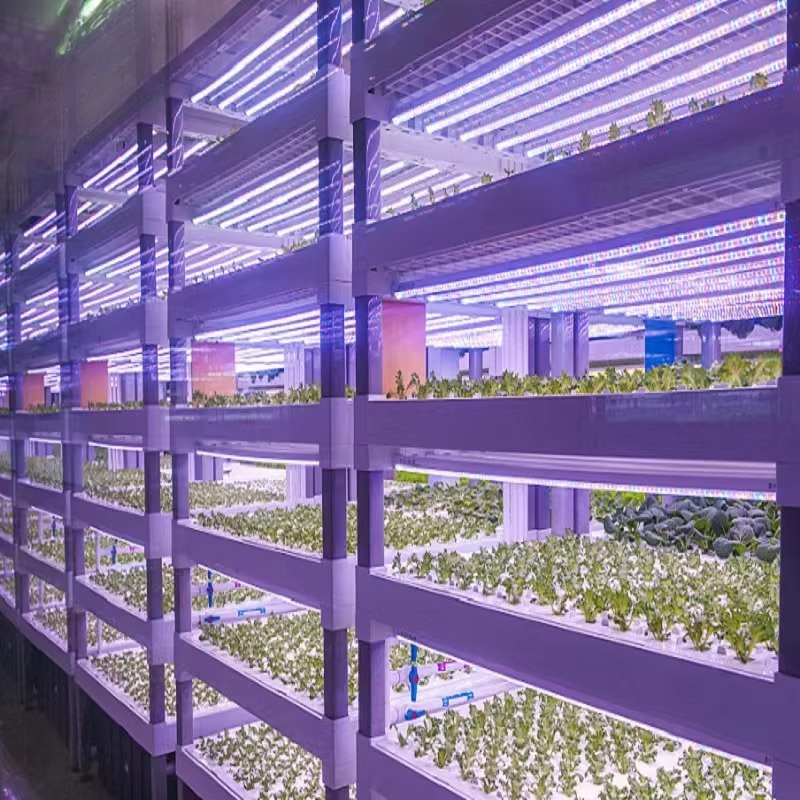 Custom Agricultural Greenhouse - Agriculture Farming Systems avis et prix