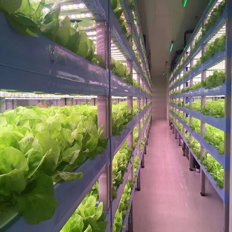 Custom Agricultural Greenhouse - Agriculture Farming Systems avis et prix