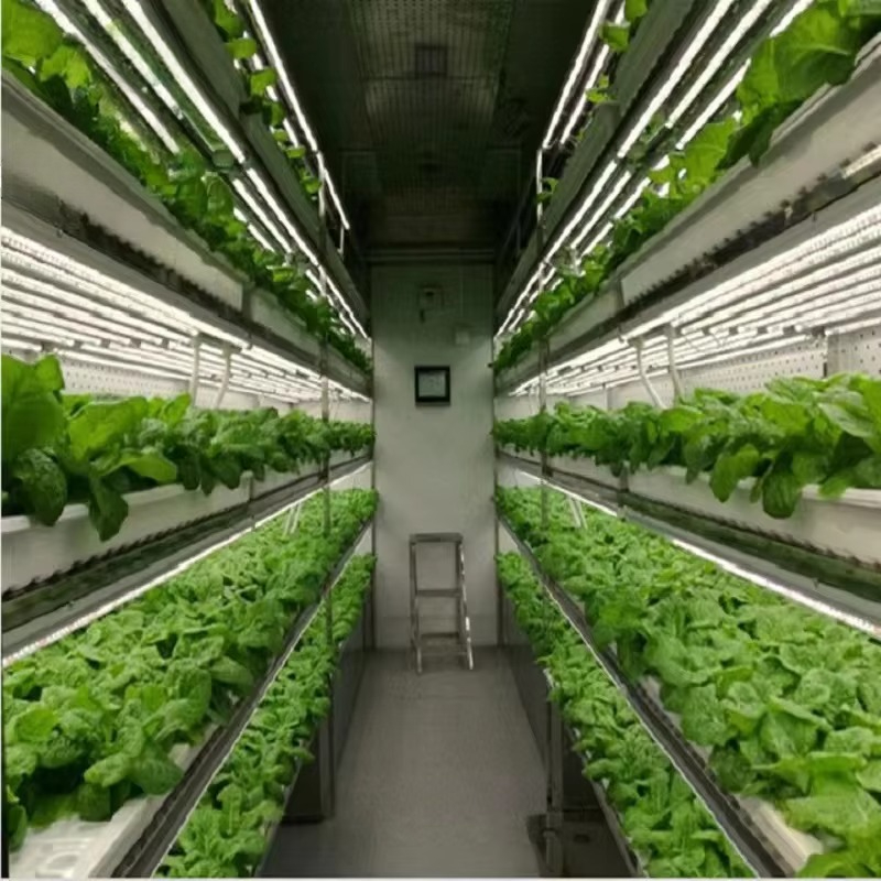 Custom Agricultural Greenhouse - Agriculture Farming Systems avis et prix