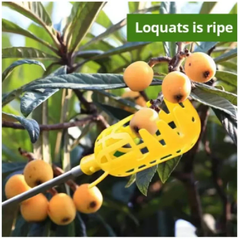 Farm Garden Picking Tools Frui - Farming Tools For Agriculture avis et prix