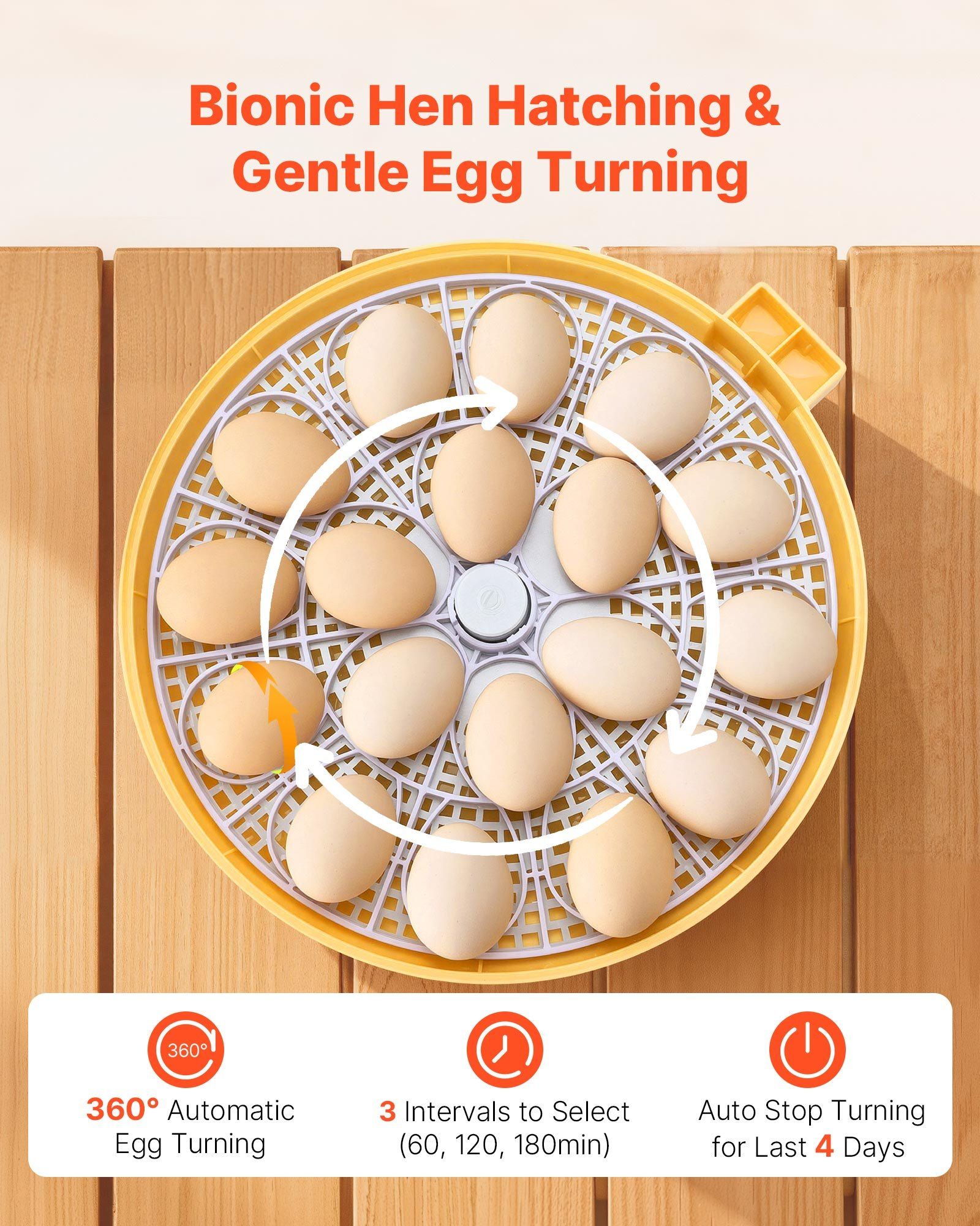 Auto 18 Egg Incubator with LED - Poultry Incubator avis et prix
