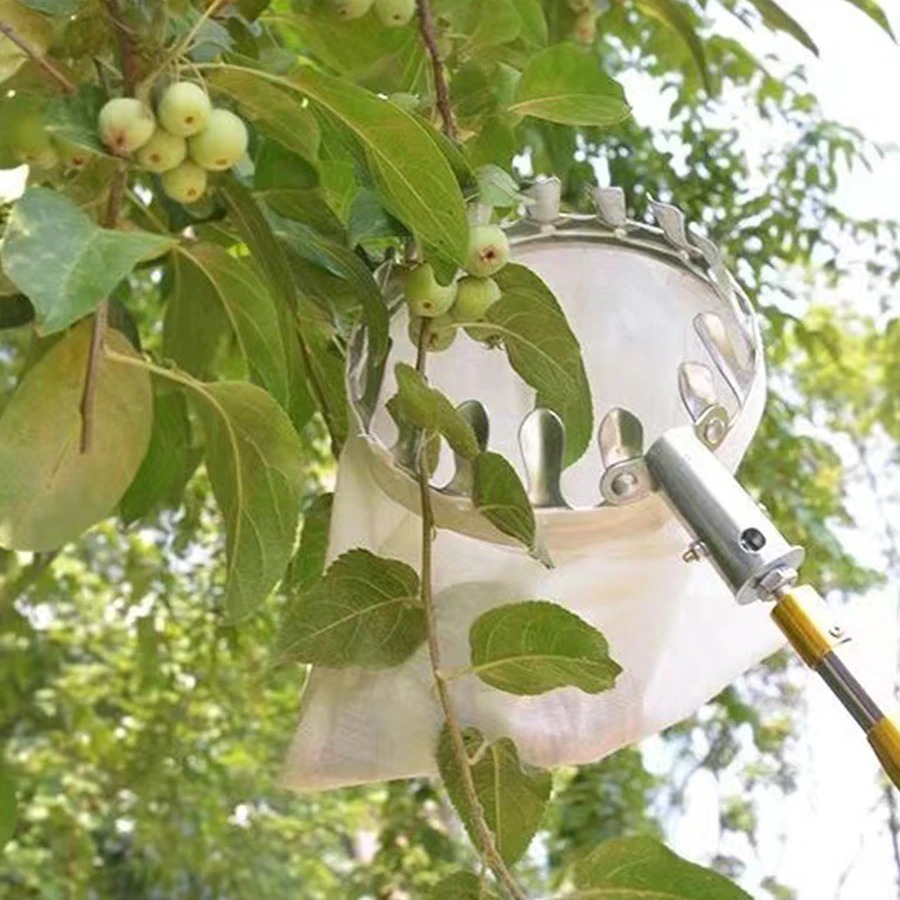 Professional Berry Picker Tool - Farming Tools For Agriculture avis et prix