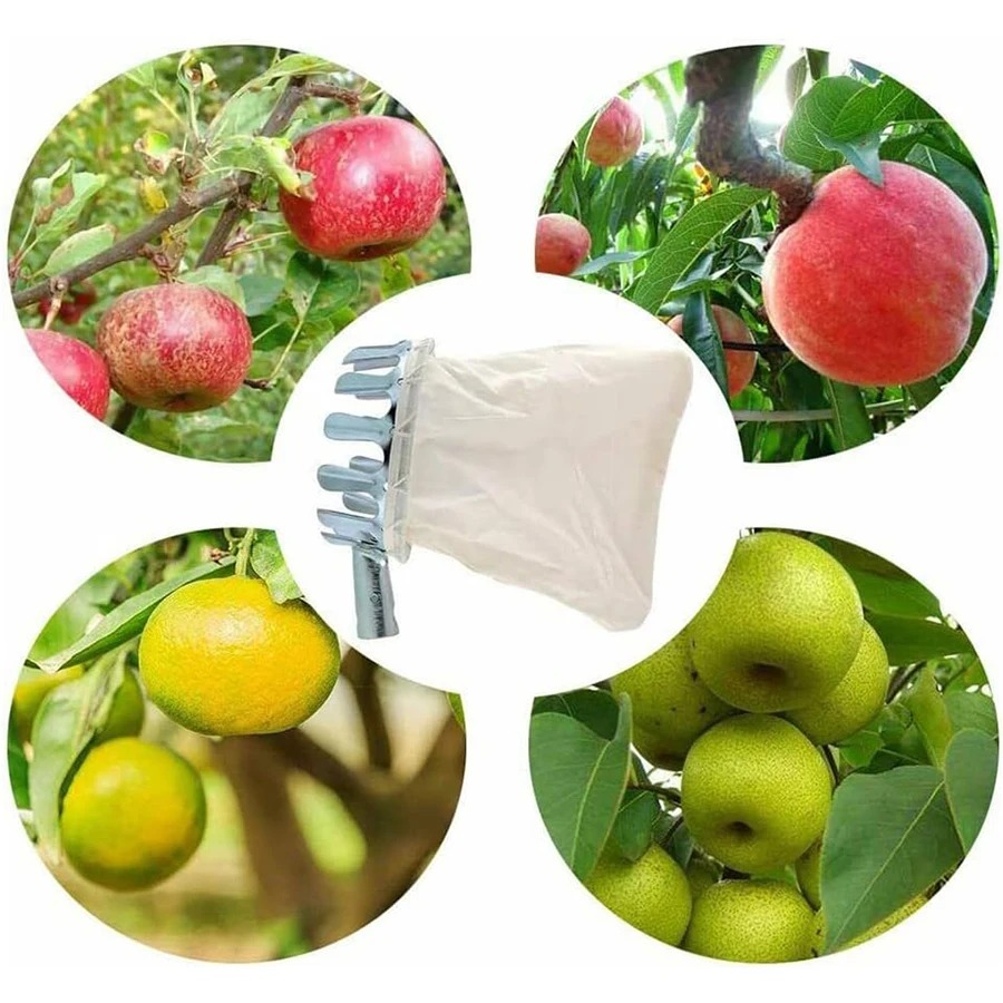 Professional Berry Picker Tool - Farming Tools For Agriculture avis et prix