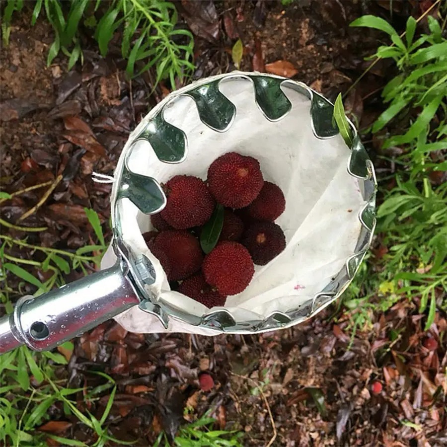 Professional Berry Picker Tool - Farming Tools For Agriculture avis et prix