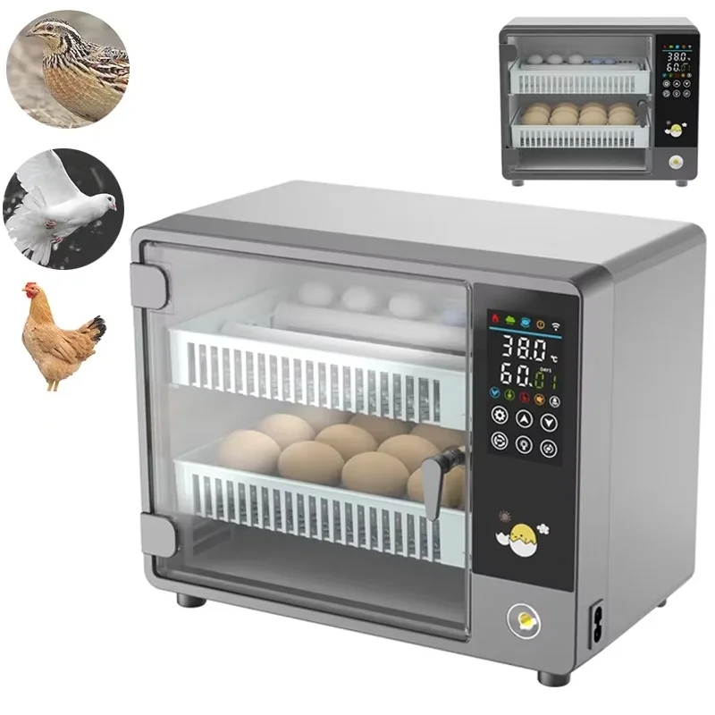 Smart Automatic Egg Incubator  - Poultry Incubator avis et prix