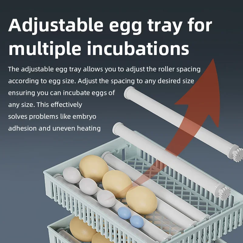 Smart Automatic Egg Incubator  - Poultry Incubator avis et prix