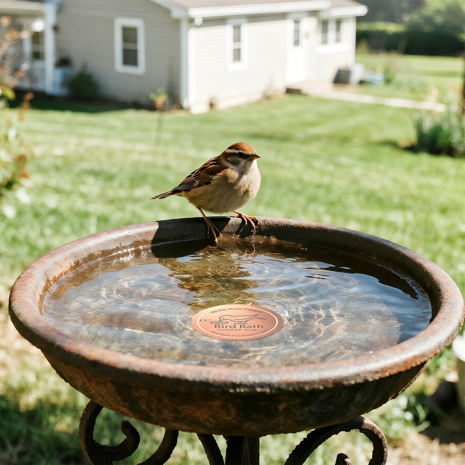 Bird Bath Copper Disc 0.6mm Th - Farming & Agriculture Word Stacks avis et prix